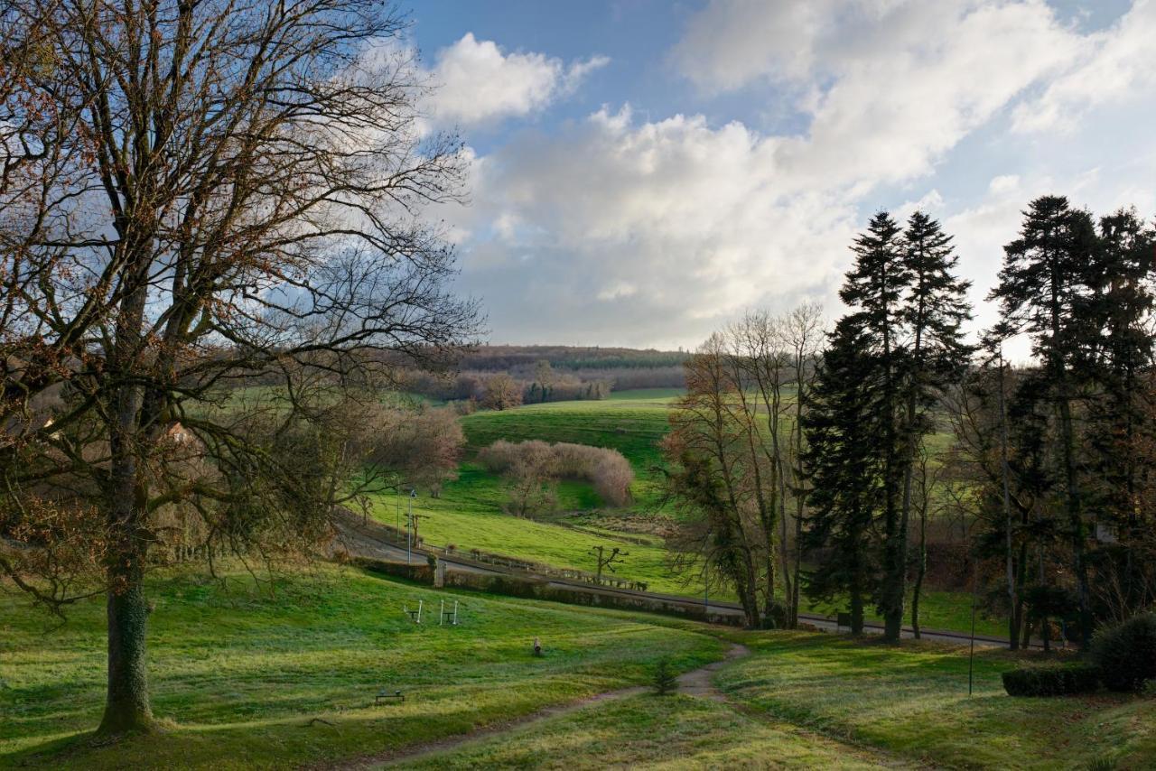 Domaine Des Myosotis, Chambres D'Hotes Saint-Honoré Eksteriør billede
